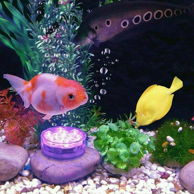 Aquamagna - Wasserdichtes Magnet- und Saug-Pool-Licht