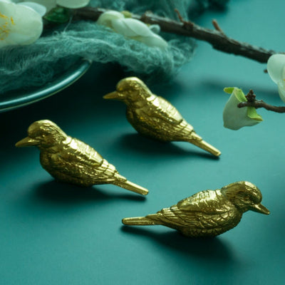 Aurevo - Vogel-Schrankgriffe & Knöpfe aus Goldmessing