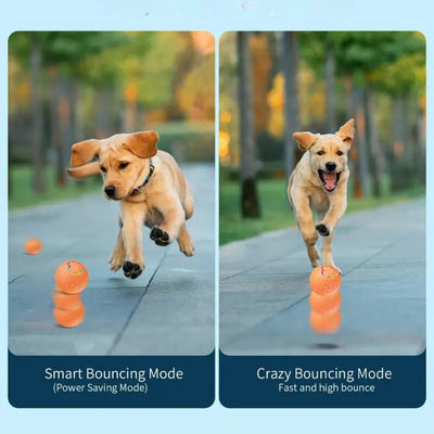 Bouncee - Intelligentes interaktives Hundespielzeug mit Hüpffunktion