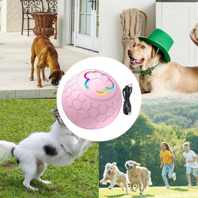 Bouncee - Intelligentes interaktives Hundespielzeug mit Hüpffunktion