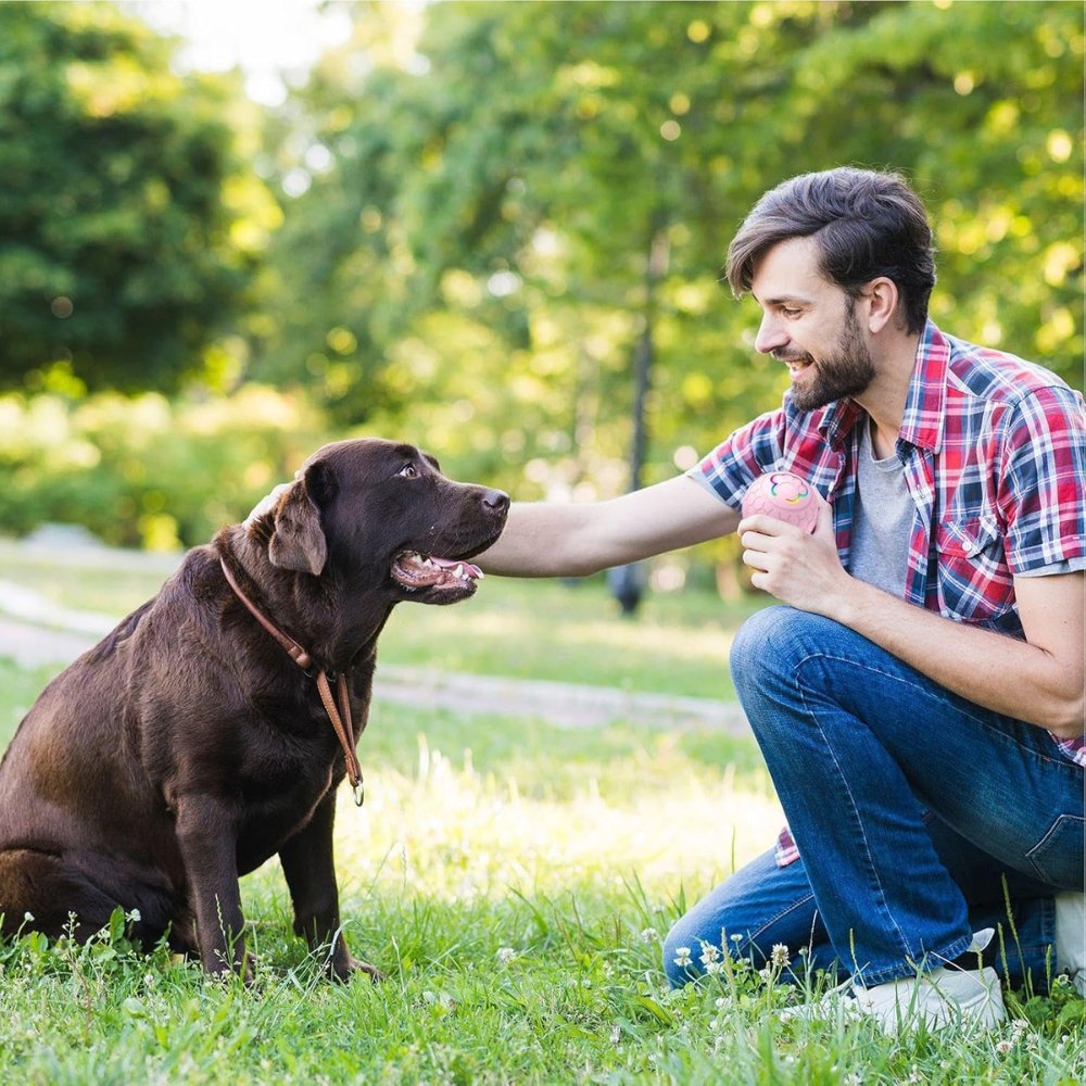 Bouncee - Intelligentes interaktives Hundespielzeug mit Hüpffunktion