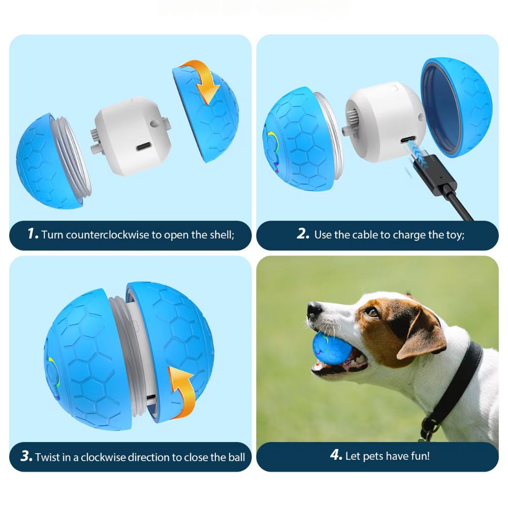 Bouncee - Intelligentes interaktives Hundespielzeug mit Hüpffunktion