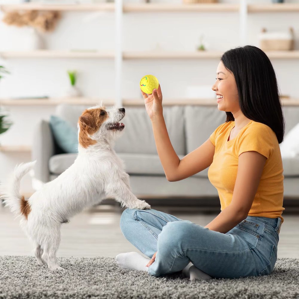 Bouncee - Intelligentes interaktives Hundespielzeug mit Hüpffunktion