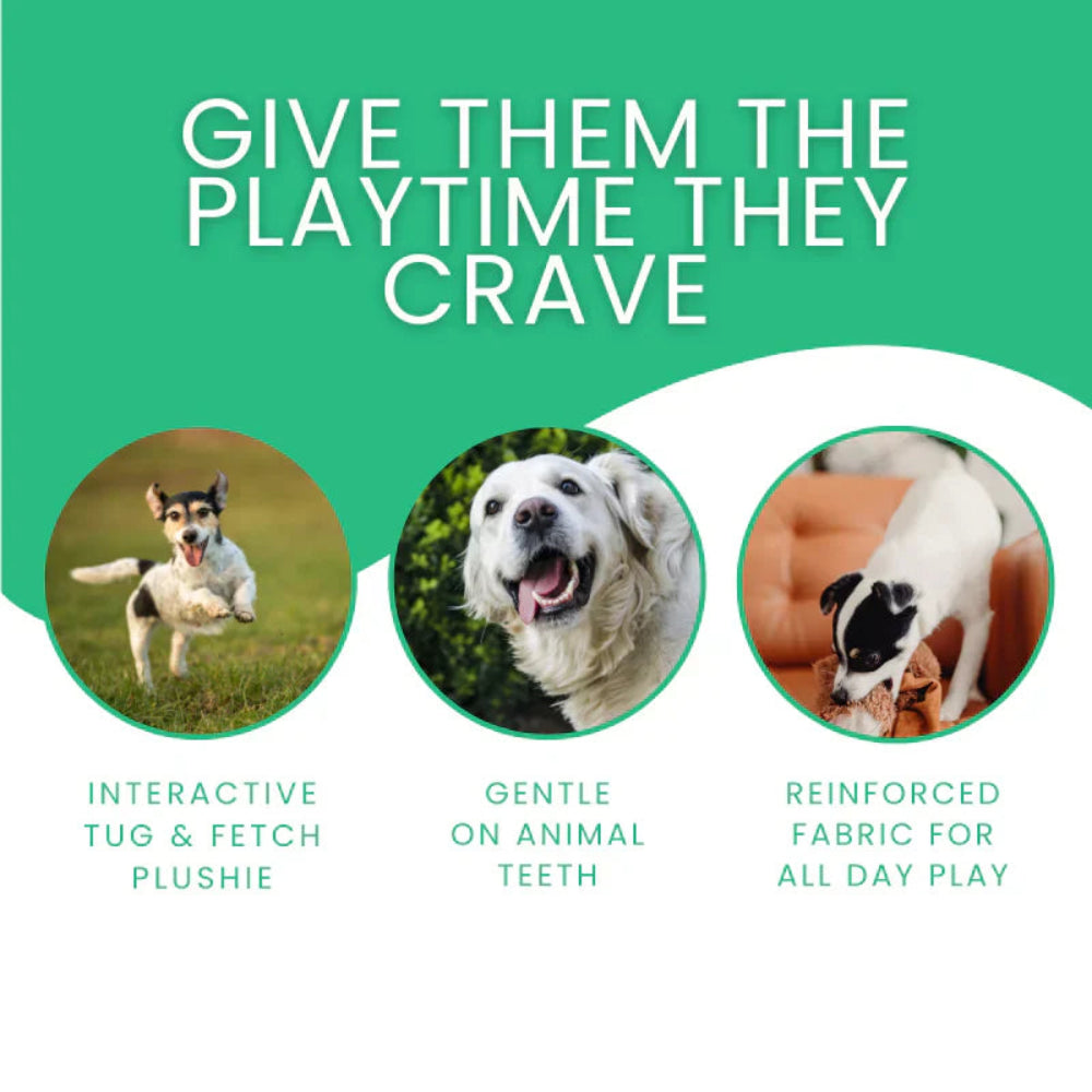 Chewlax - Beruhigungsbär Plüsch Hundespielzeug für hartnäckige Kauer