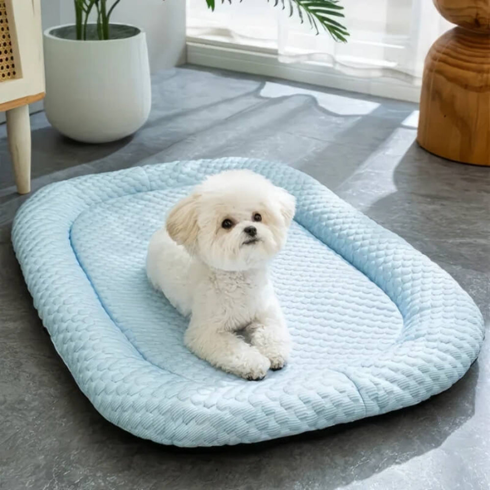 Coolrest - Druckaktiviertes Kühlbett für Hunde