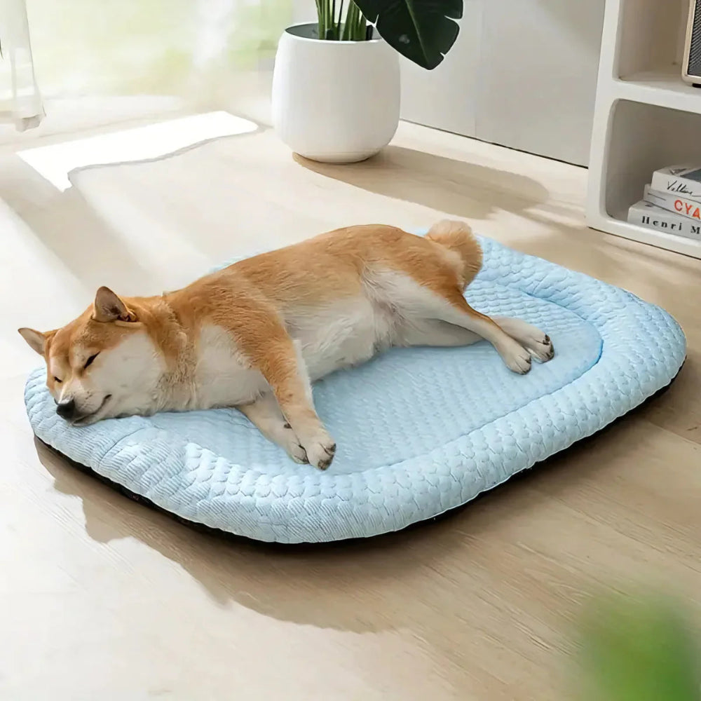 Coolrest - Druckaktiviertes Kühlbett für Hunde
