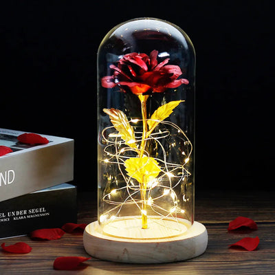 Elarosa - Ewige Rose in Glaskuppel mit LED-Licht