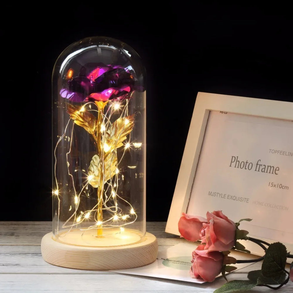 Elarosa - Ewige Rose in Glaskuppel mit LED-Licht