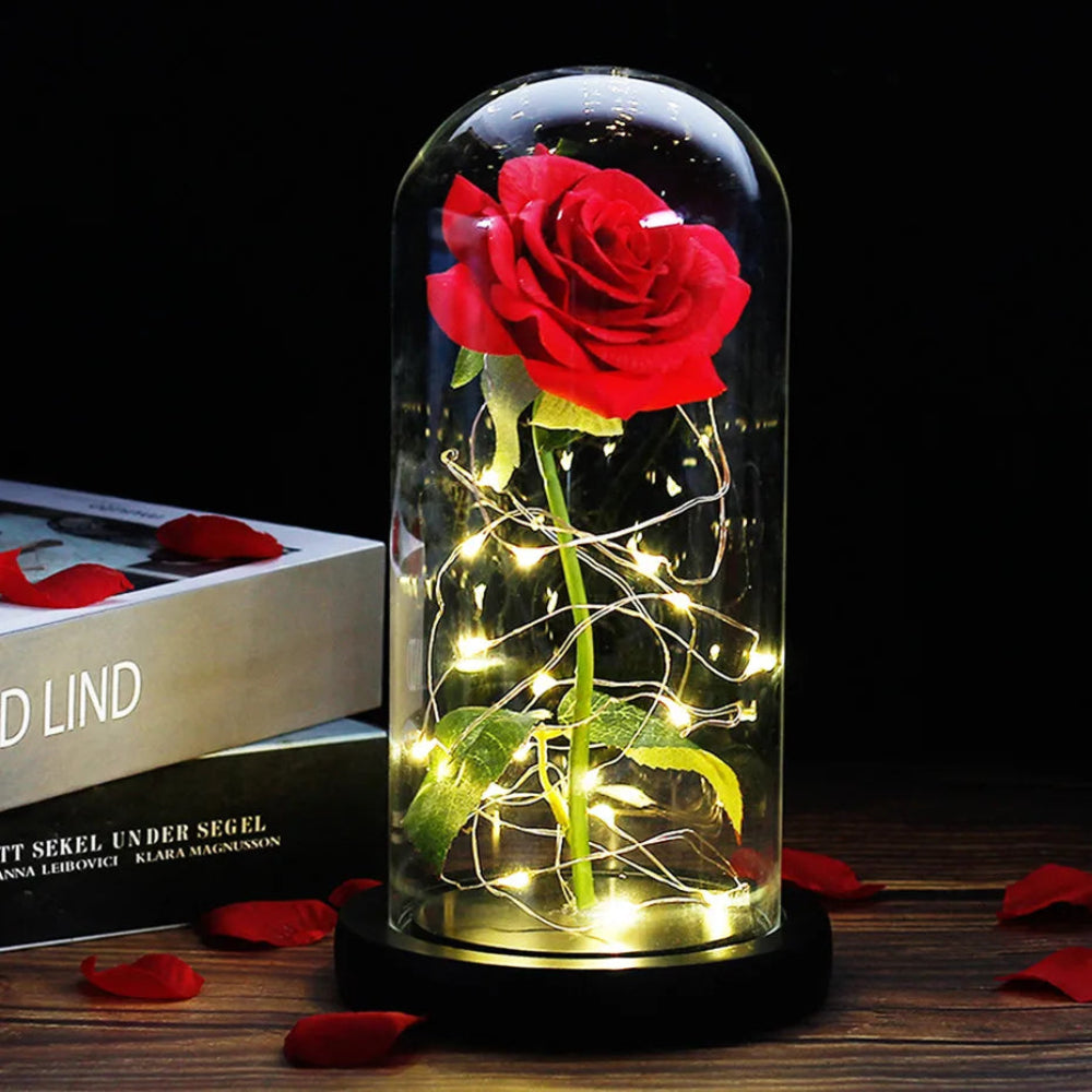 Elarosa - Ewige Rose in Glaskuppel mit LED-Licht