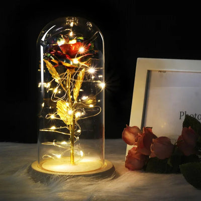 Elarosa - Ewige Rose in Glaskuppel mit LED-Licht