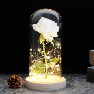Elarosa - Ewige Rose in Glaskuppel mit LED-Licht