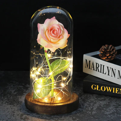 Elarosa - Ewige Rose in Glaskuppel mit LED-Licht