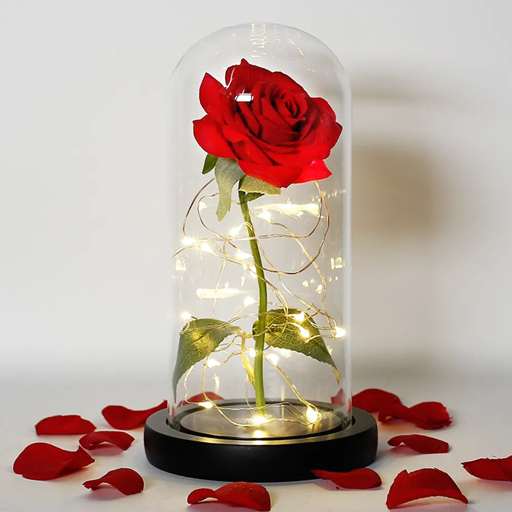 Elarosa - Ewige Rose in Glaskuppel mit LED-Licht
