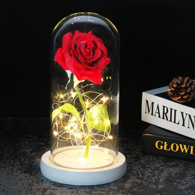 Elarosa - Ewige Rose in Glaskuppel mit LED-Licht