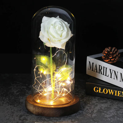 Elarosa - Ewige Rose in Glaskuppel mit LED-Licht