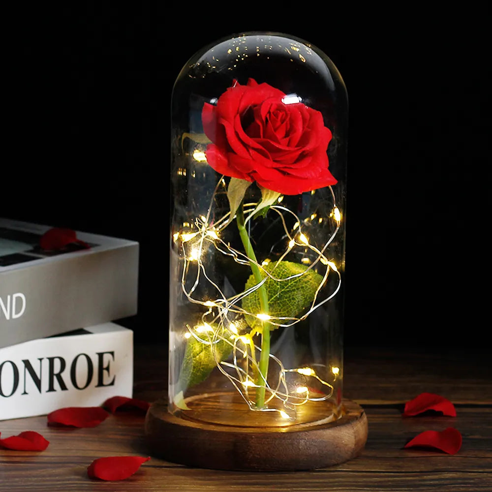Elarosa - Ewige Rose in Glaskuppel mit LED-Licht
