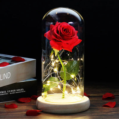 Elarosa - Ewige Rose in Glaskuppel mit LED-Licht