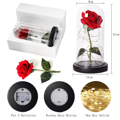 Elarosa - Ewige Rose in Glaskuppel mit LED-Licht