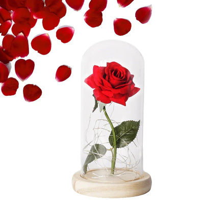 Elarosa - Ewige Rose in Glaskuppel mit LED-Licht