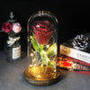 Elarosa - Ewige Rose in Glaskuppel mit LED-Licht