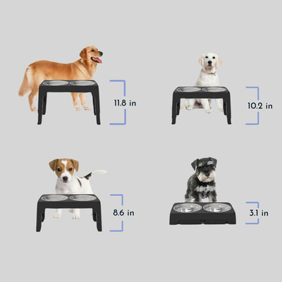 Feeda - Verstellbare, erhöhte Hundetränke mit Edelstahlschalen