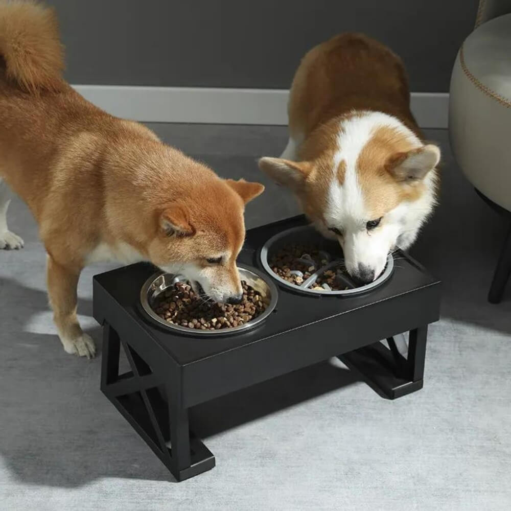 Feeda - Verstellbare, erhöhte Hundetränke mit Edelstahlschalen