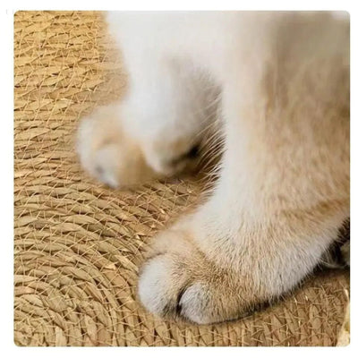Fluffora - Ultra-weiches Katzenbett für kuscheligen Komfort