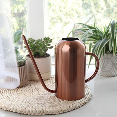 Fluora - 1.5L Gießkanne aus Edelstahl