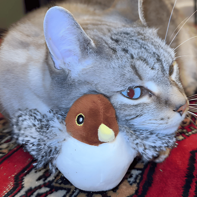 FlutterChirp - Interaktives Flattervogelspielzeug für Katzen