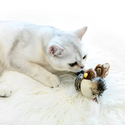 FlutterChirp - Interaktives Flattervogelspielzeug für Katzen