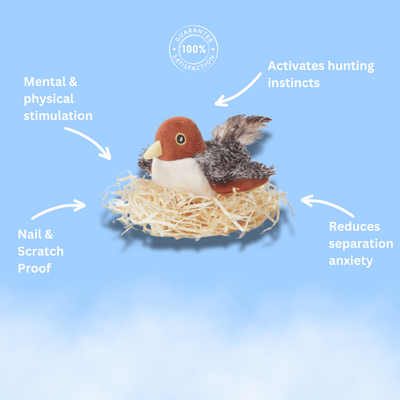 FlutterChirp - Interaktives Flattervogelspielzeug für Katzen