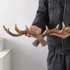 HornHanger - Von der Natur inspirierte Wandgarderobe mit Haken