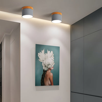 Zeitgenössische Flush Mount LED-Deckenleuchte - Sanfte Beleuchtung mit nordischem Design
