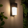 Orion Wandleuchte für draußen - elegantes schwarzes Design mit weichem Lichtdiffusor