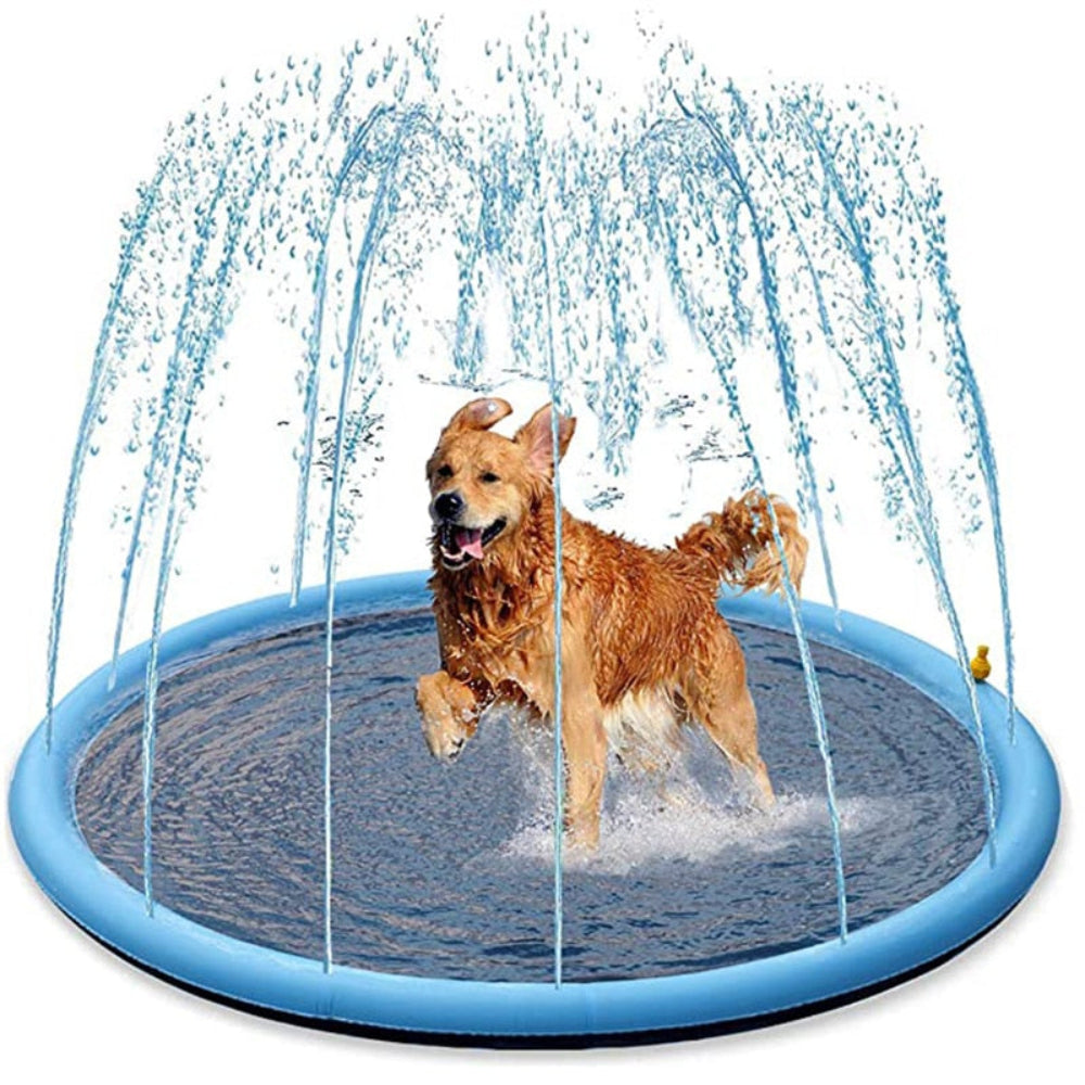 Pawplash - Planschbecken für Hunde und Kinder
