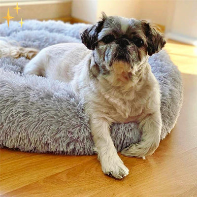 Snuggleloop - Flauschiges Donut-Haustierbett für Katzen & Hunde
