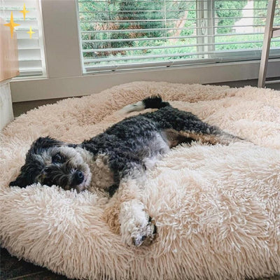 Snuggleloop - Flauschiges Donut-Haustierbett für Katzen & Hunde