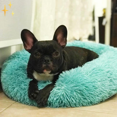 Snuggleloop - Flauschiges Donut-Haustierbett für Katzen & Hunde