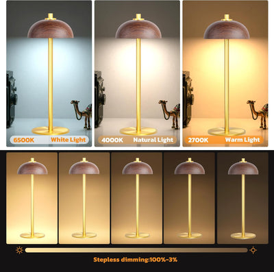 Wiederaufladbare kabellose Luxe-Tischlampe - Touch Control & einstellbare Helligkeit