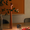 Kabellos aufladbare tragbare Schreibtischlampe - Vielseitiges & tragbares Design